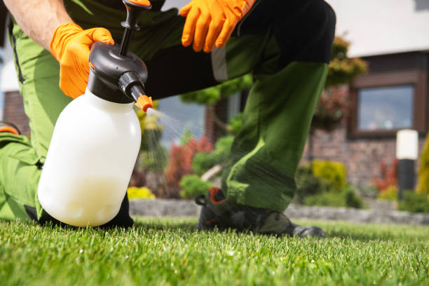 Best Commercial Pest Control Services  in Odessa, TX