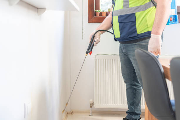 Best Mosquito Control Services  in Odessa, TX