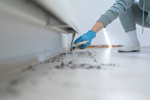 Best Residential Pest Control  in Odessa, TX